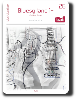 Bluesgitarre 1+